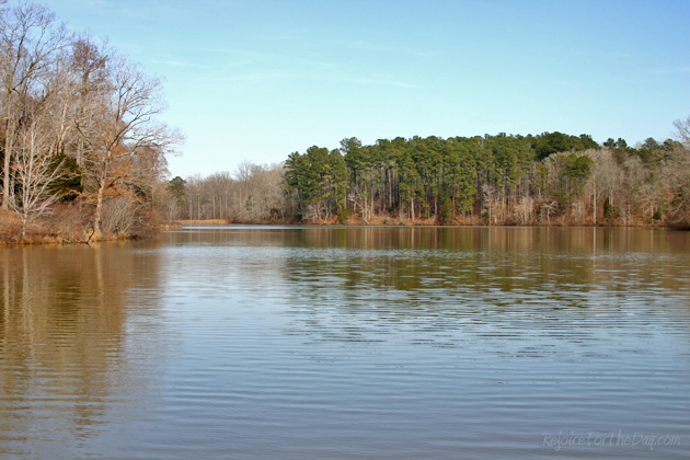 View of Cub Lake