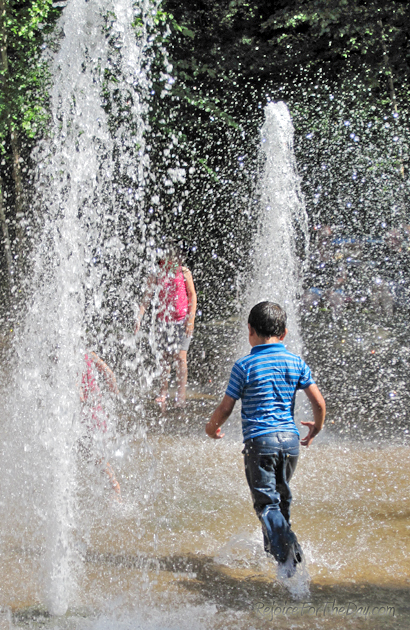 fountains at the zoo