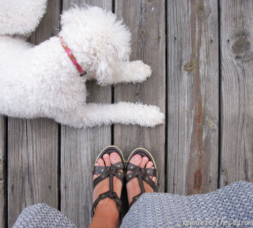 Shoe Save 28. Brand: Lower East Side (payless)