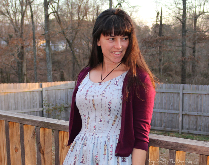 The Birdhouse Dress bodice view 2