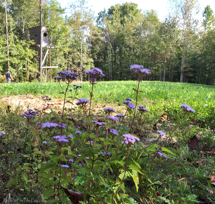 Hunting season starts