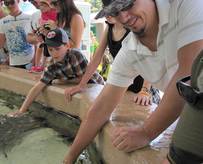 last Orlando trip 2011