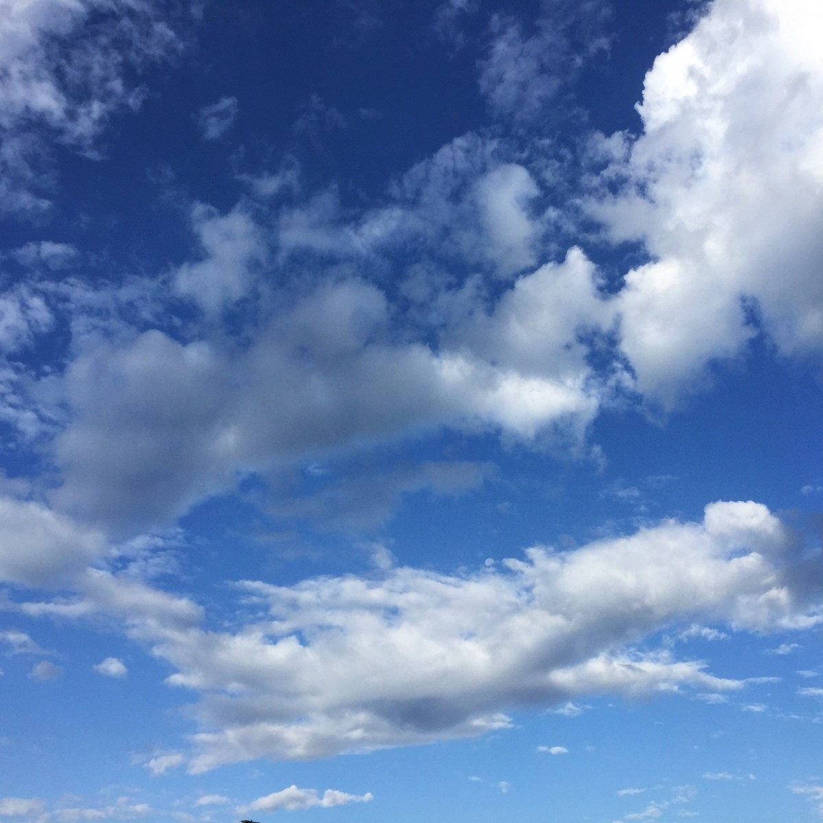 humidity, you don't bother me when the highs are in the 60's