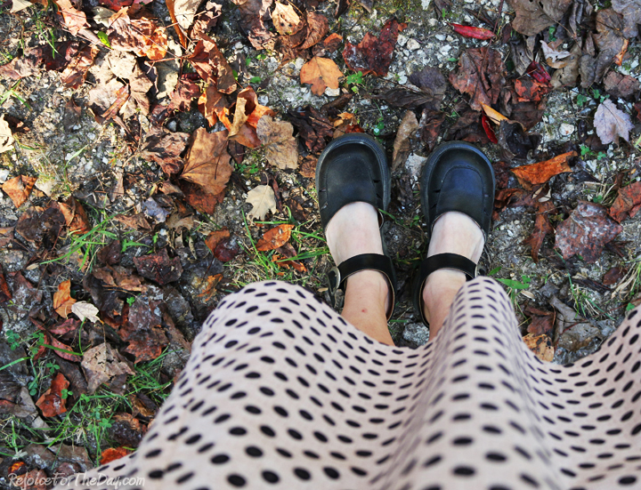 Sunday in Photos 2 copy