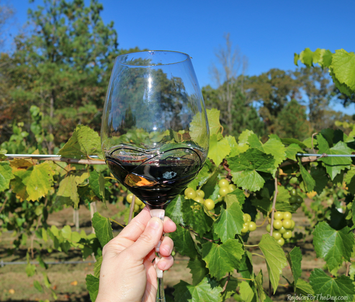 Valentina Paris glasses