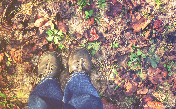 walking in fall copy