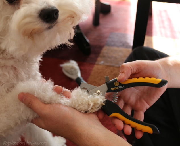 Rollin Pets clippers 2