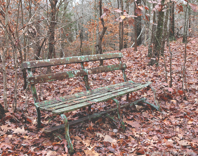 Rusty bench