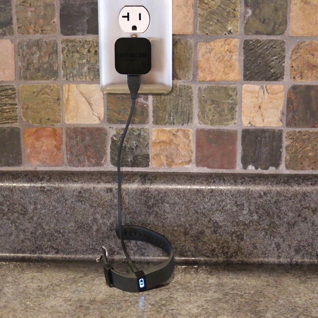 cord the FitBit came with