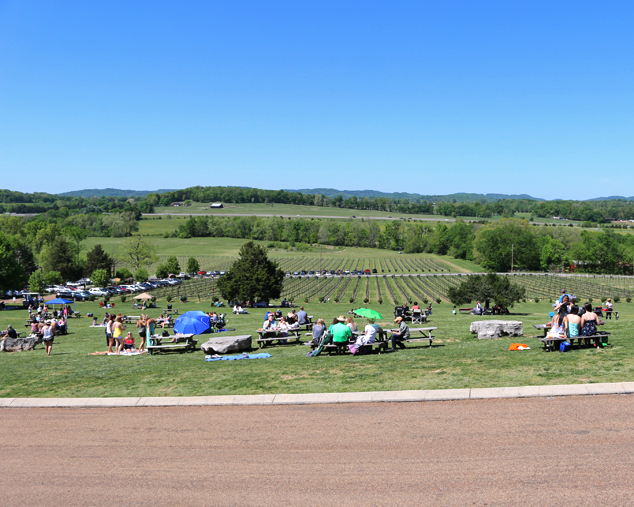 Arrington Vineyards on a Sunday 2