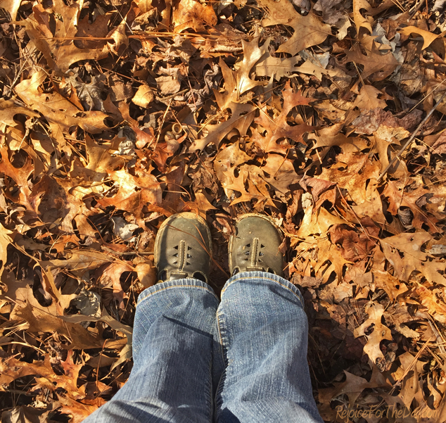 walking-in-the-woods